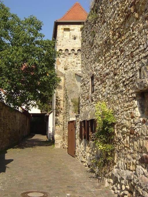 شقة Freinsheim Altstadt المظهر الخارجي الصورة